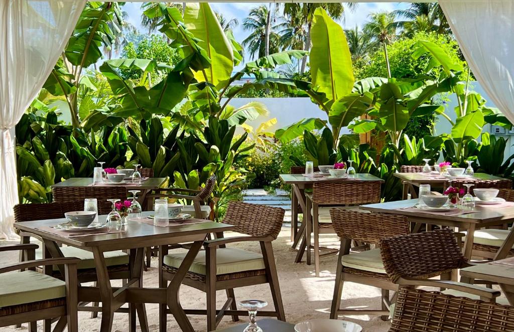 All-Inclusive Maldives Travel Package – 5 Days 4 Nights with Hotel Stay, Activities & Local Transport